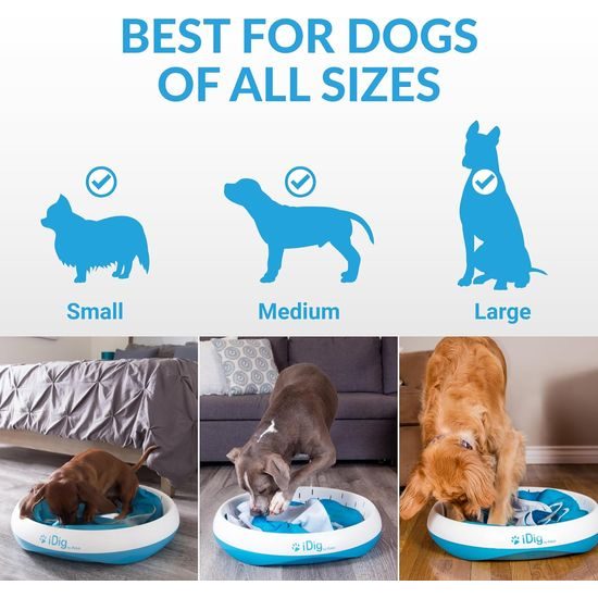 iDig Stay Digging Toy