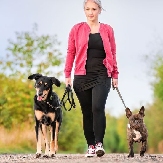 Tractive GPS Tracker für Hunde und Katzen