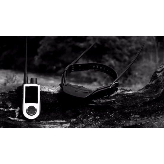 GPS a výcvik psa v jednom SportDog TEK 1.0 Tracking & Training