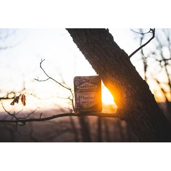 Carnilove Dog Pouch Paté Pheasant with Raspberry Leaves 300 g