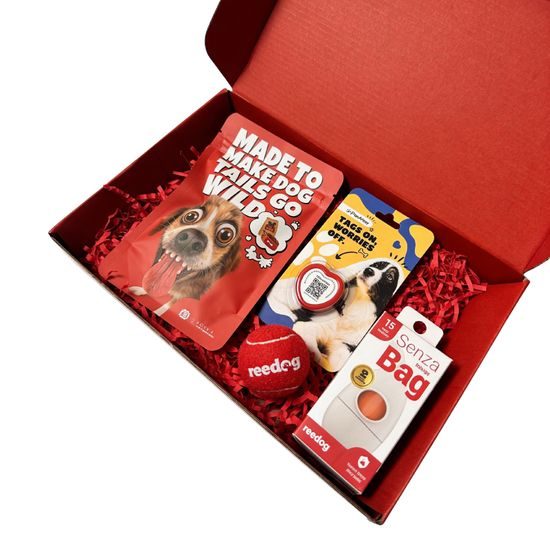 Reedog Box de San Valentín para perros