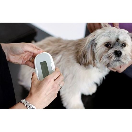 Lector de chip SureSense II para perros y otros animales de compañía