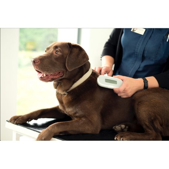 SureSense Chipleser für Hunde und andere Haustiere