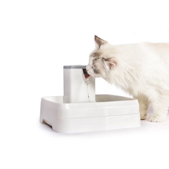 Petwant PW-108 fountain for dogs and cats