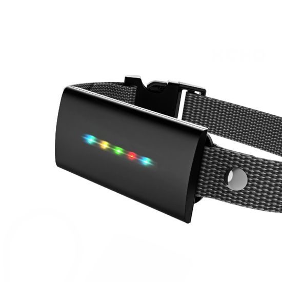 Collar y receptor Reedog ProTrainer MX-500