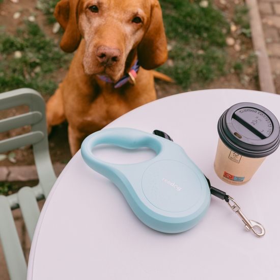 Reedog Senza Basic samonavíjacie vodítko M 25kg/ 5 m páska / pastelové mätové