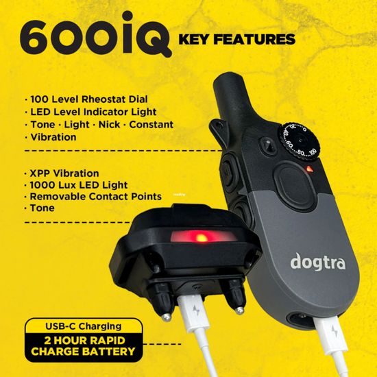Dogtra 600iQ