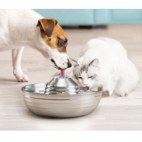 Petwant PWS-102 Fountain for dogs and cats