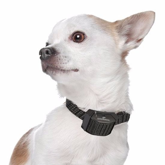 Tiny bark clearance collar