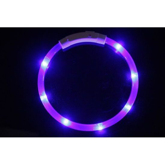 Reedog Easy Light USB rechargeable glowing collar for dogs and cats