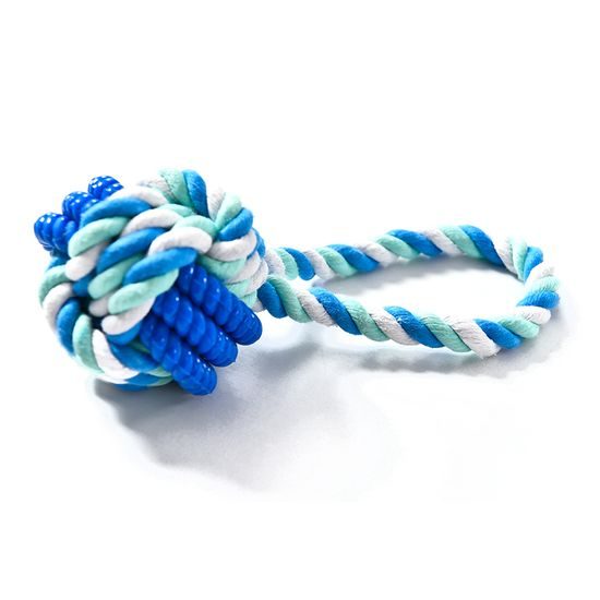 Rope dog toy Reedog loop