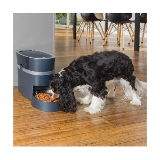 Automatický dávkovač PetSafe® Smart Feed 2.0