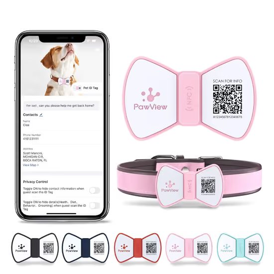 PawView smart obróżka muszka
