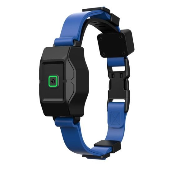 Pethey kabelloser GPS-Hundezäun F860