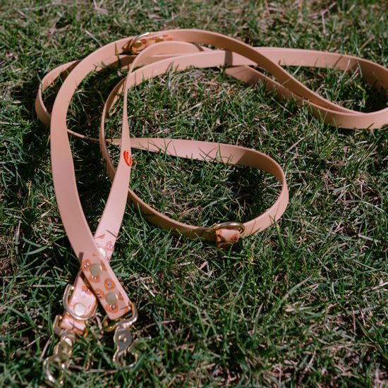 Reedog Gassi-Set Häufchen aus Biothane: HALSBAND + LEINE