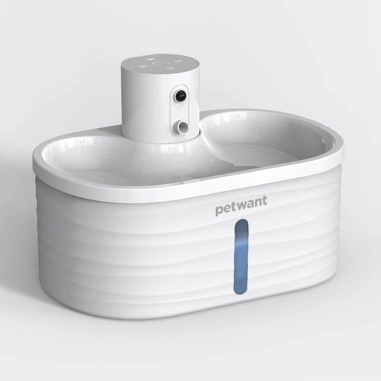 Petwant W4 fountain