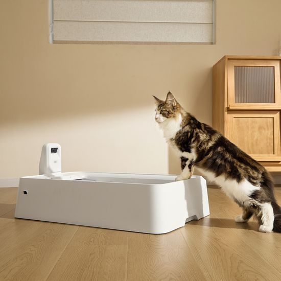 Petkit Purobot Crystal Duo