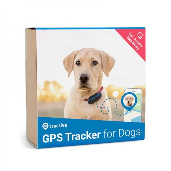 KOMIS - Tractive GPS Tracker i monitor aktywności dla psów
