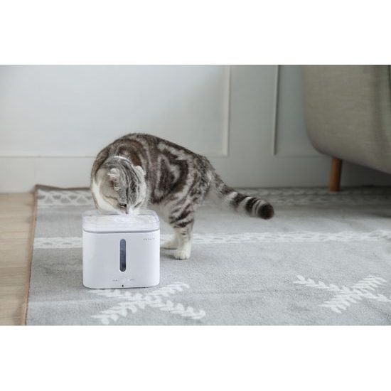 Petkit Eversweet 2 Wasserspender