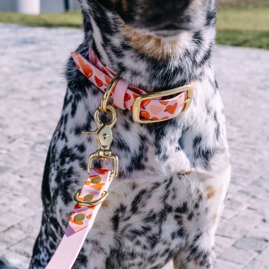 Reedog nyakörv, rózsaszín szív Biothane