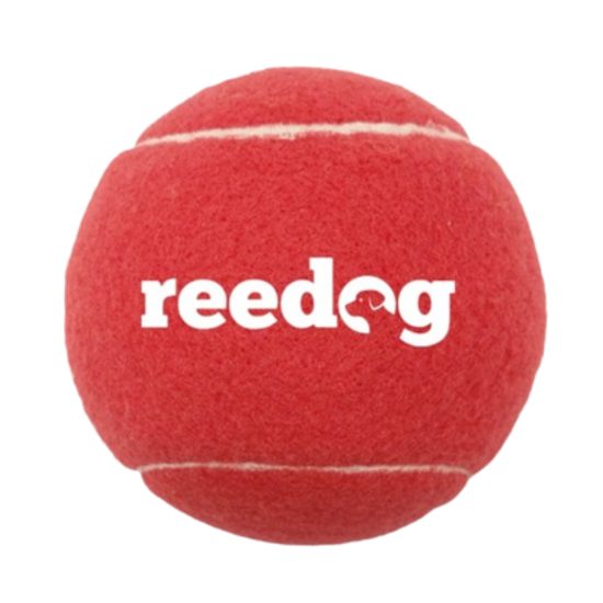 Reedog piłka tenisowa dla psa - L