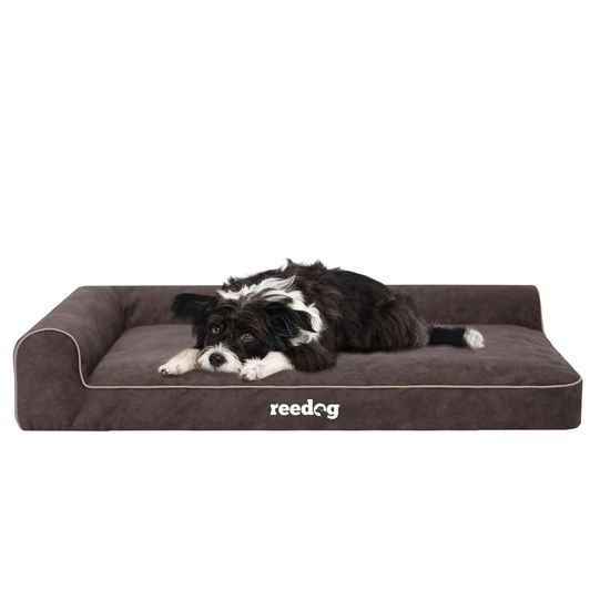 Reedog Pat Best Dora Maro