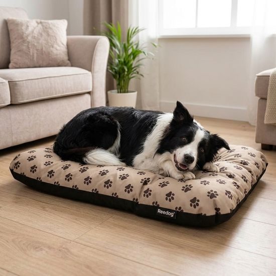 Reedog Matrace Eco Extra Paws