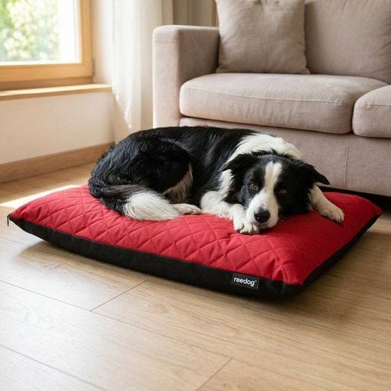 Reedog Matrace Elis Red Cordura