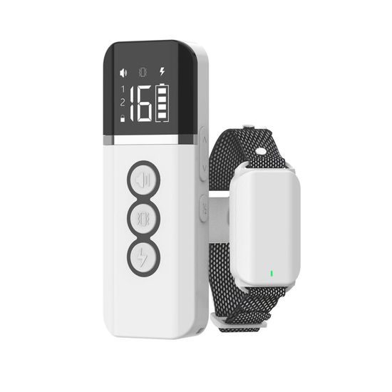 Transmitter Patpet TK16
