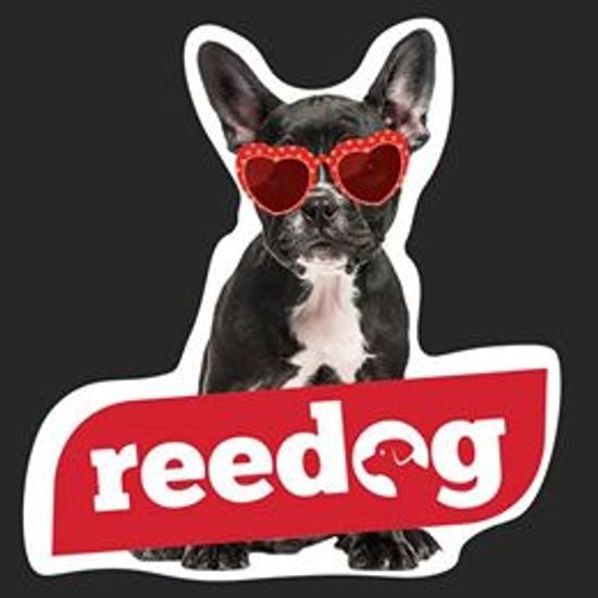 Reedog Air Fresh zawieszka zapachowa / Wiśnia