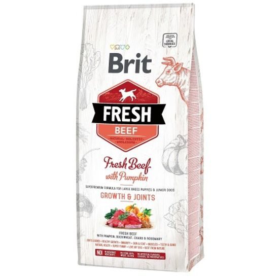 Expiry 8/7/2026: Brit Fresh Beef & Pumpkin Puppy Large Bones & Joints 12 kg