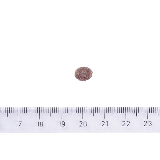 Brit Care Dog Sustainable Adult Small Breed Chicken & Insect 7 kg