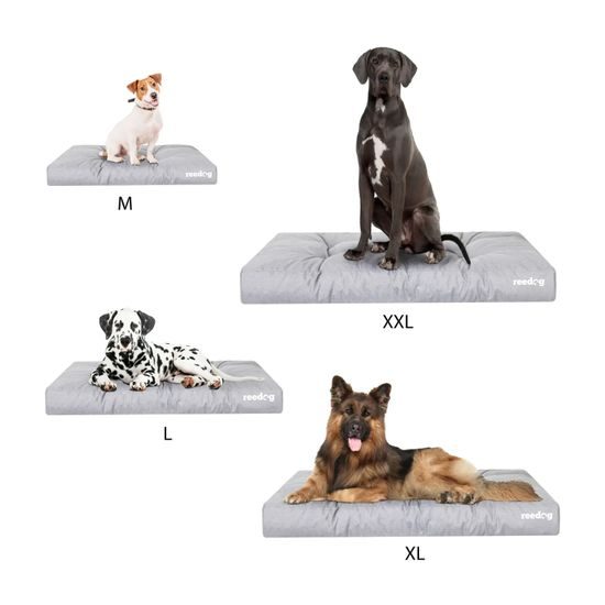 Reedog Mattress Grand Light Ash