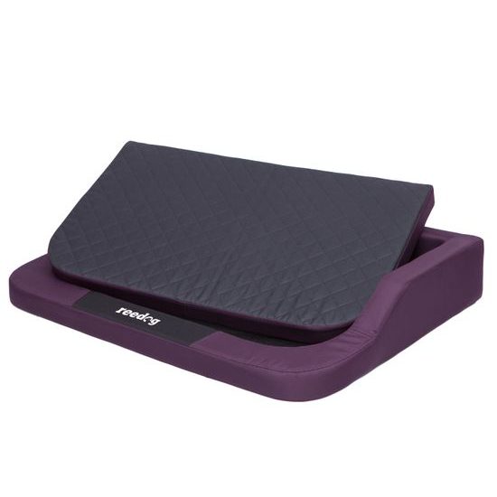 Pelech pre psa Reedog Purple Standard