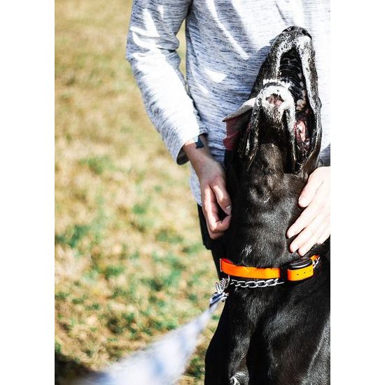 Set elektrického ohradníku - kombinovaný RF generátor s dálkovým ovládáním - lanko 400 m