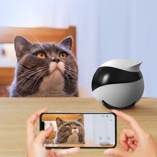 EBO SE Moving Pet Camera - Smart cameras - Electric-Collars.com