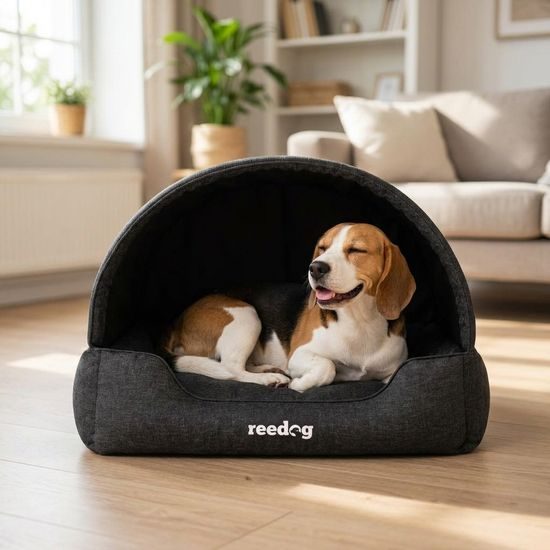 Reedog Kukaň Prompter Black