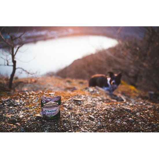 Carnilove Dog Pouch Paté Pheasant with Raspberry Leaves 300 g