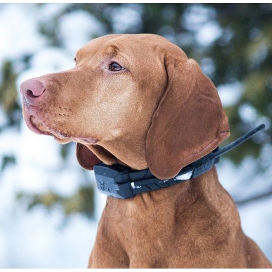 Empfänger - Handgerät für DOG GPS X20