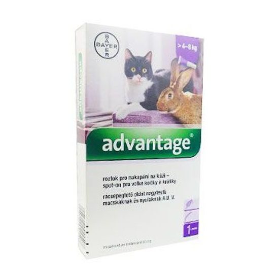 Advantage 80 10% 1x0,8ml dla kotów powyżej 4kg