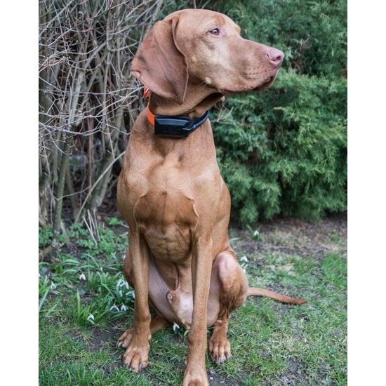 Vyhledávací zařízení DOG GPS X20