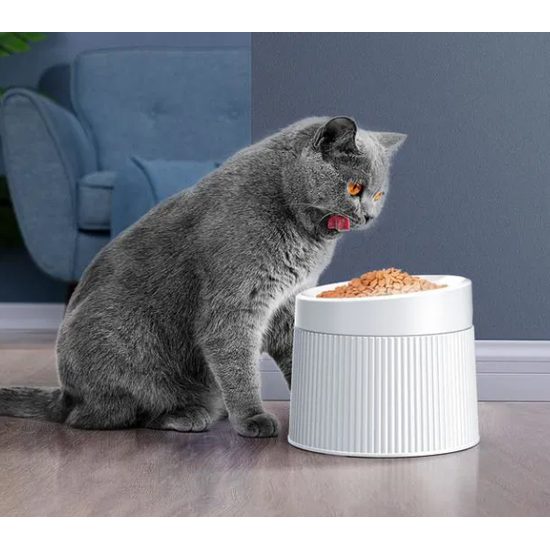 UahPet Geometry Ergonomischer Napf für Katzen