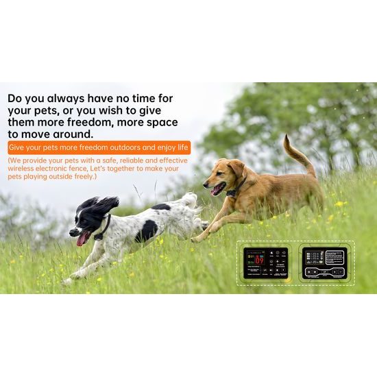 No fence dog collar online