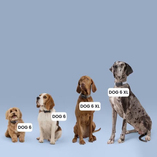 Tractive DOG 6 XL
