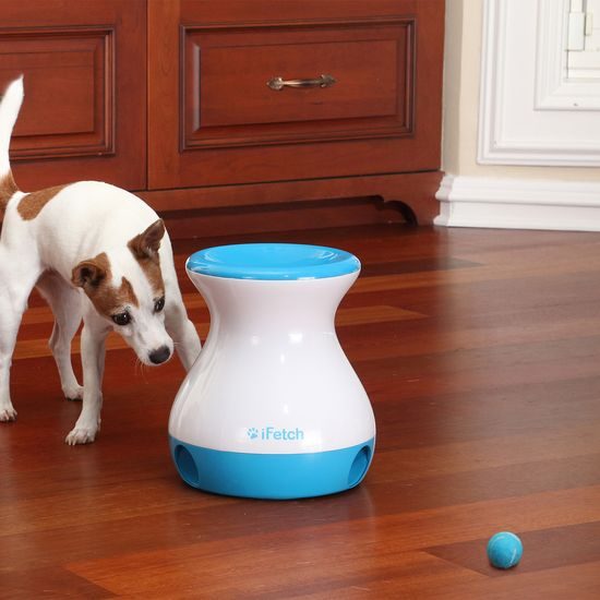 iFetch Frenzy ball launcher