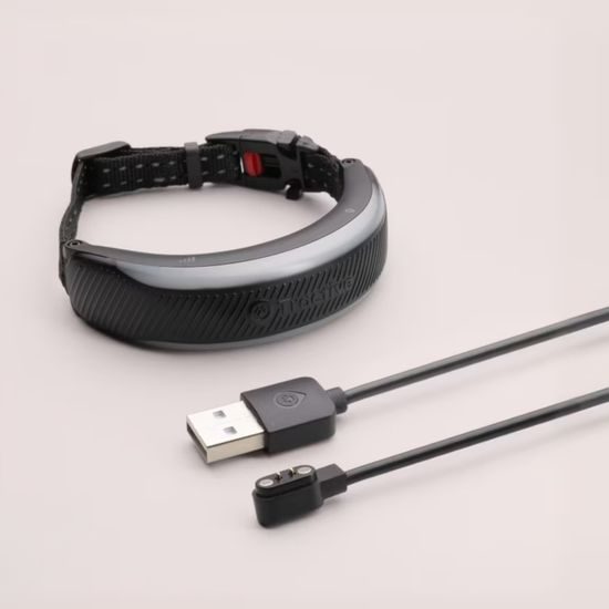 Tractive GPS CAT 6 Mini