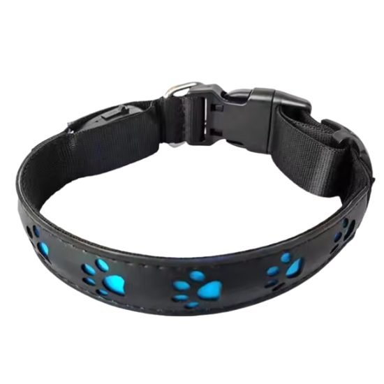 Collar luminoso recargable Reedog PATITAS