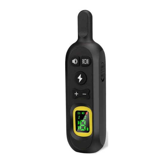 Reedog P19 remote control