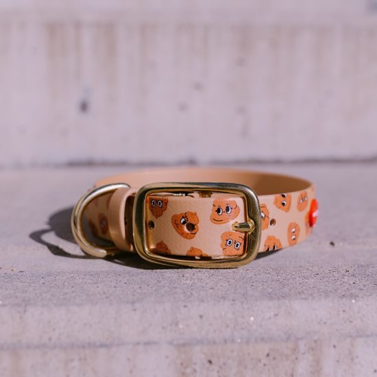 Reedog Gassi-Set Häufchen aus Biothane: HALSBAND + LEINE