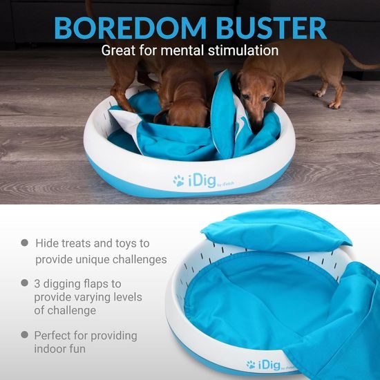 iFetch iDig Stay Digging Toy